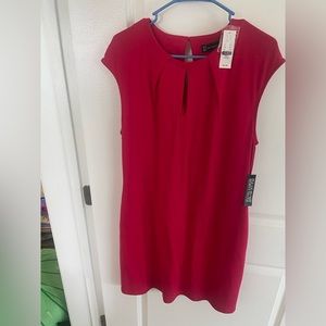 Womens dress , new , New York and Company, size large